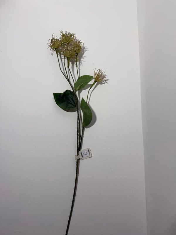 37 Clematis pods 74 cm