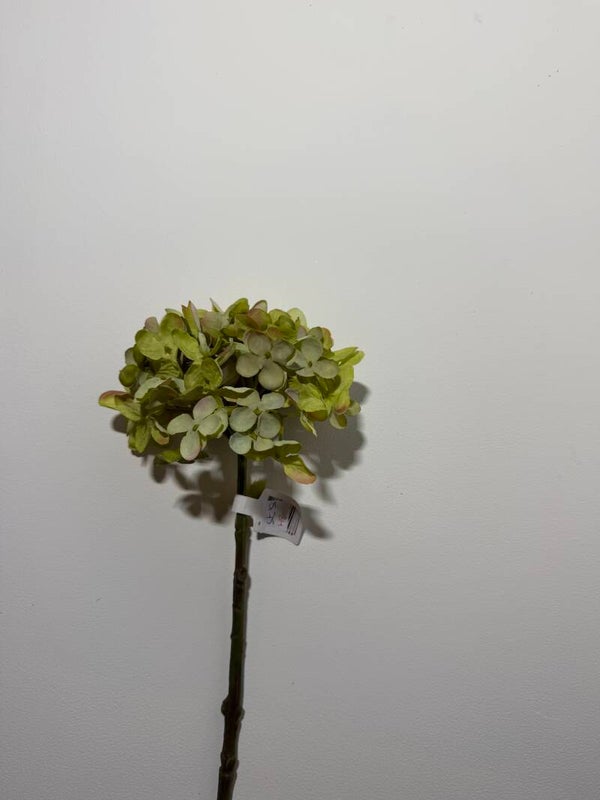 34 Single dry look Hedrengea green