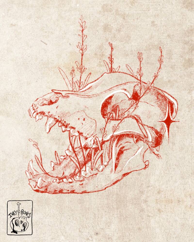 Witchy whimsical dog skull tattoo design