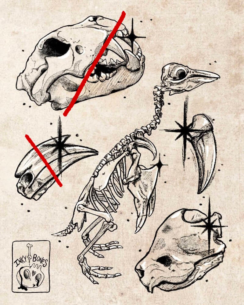 a selection of illustrative unique skull tattoo designs