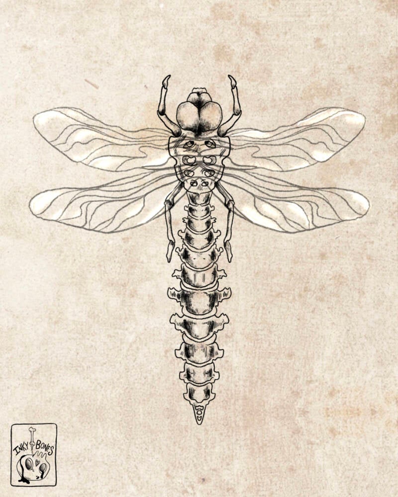 dark and creepy dragonfly tattoo design