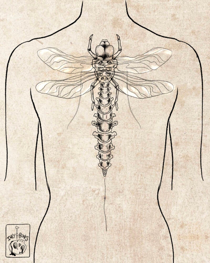 mock up dark and creepy dragonfly tattoo design
