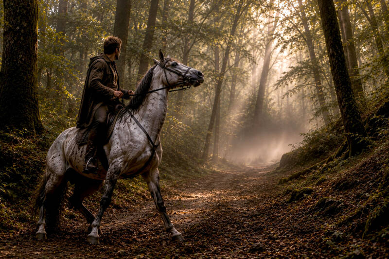 Cheval refusant d'avancer en forêt lors d'une promenade à cheval, illustrant les témoignages sur la perception de phénomènes inexpliqués