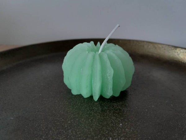 Kleine cactus kaard