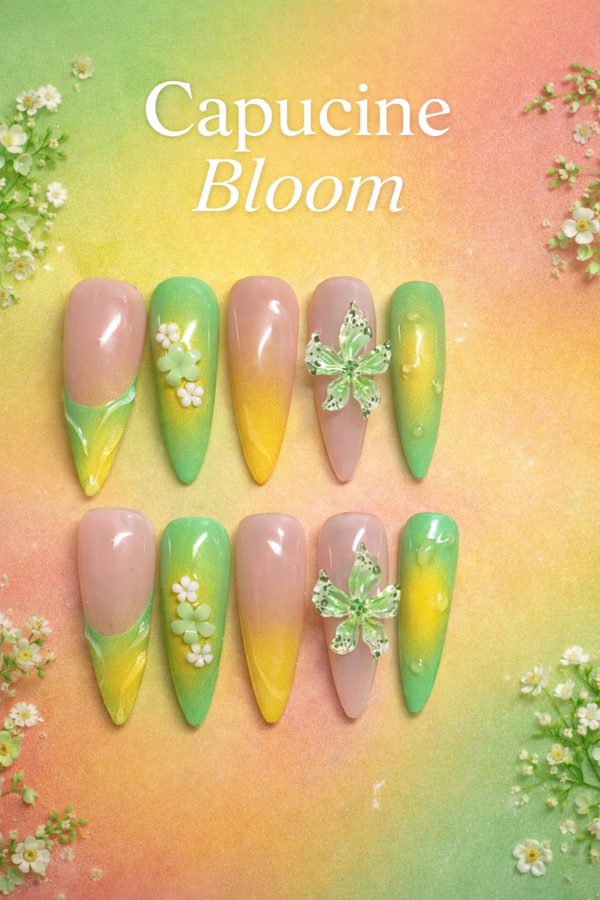 Capucine bloom