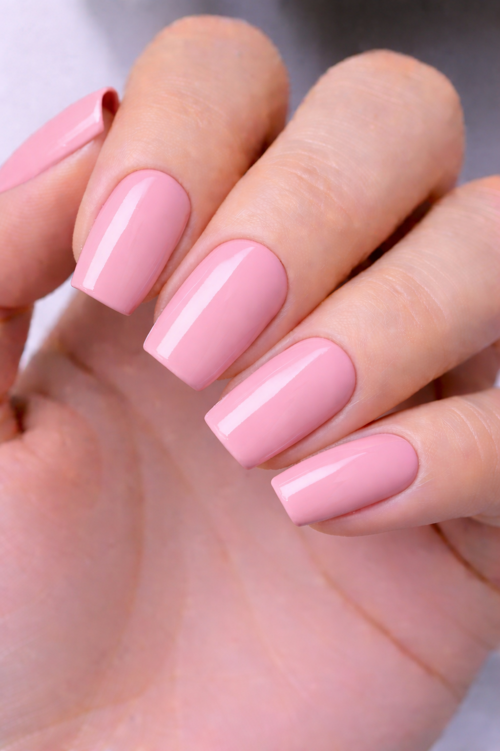 Rose vintage