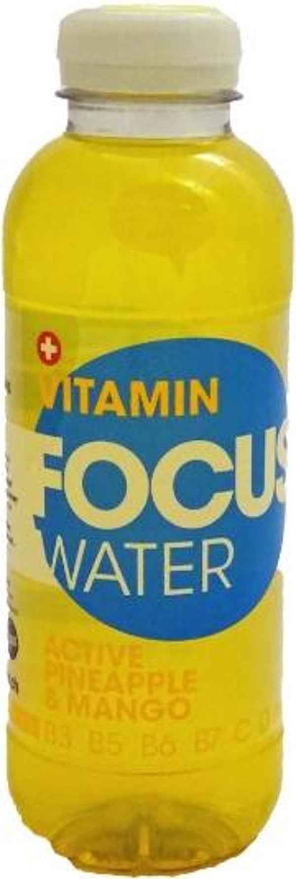 Focuswater Ananas Pet