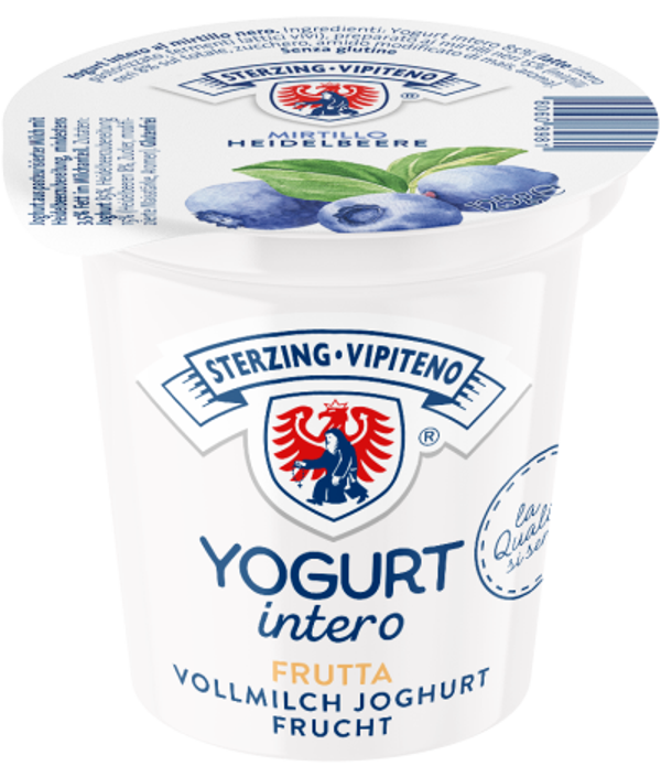 Heidelbeer Vollmilchjoghurt 1x125g