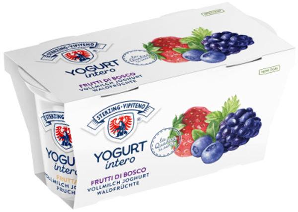 Waldfrüchte Vollmilchjoghurt 2x125g