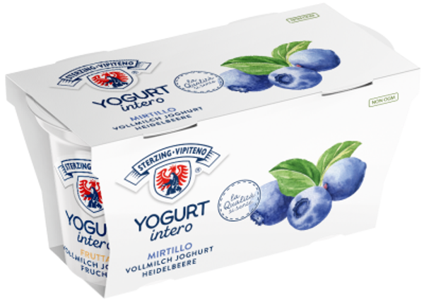 Heidelbeer Vollmilchjoghurt 2x125g