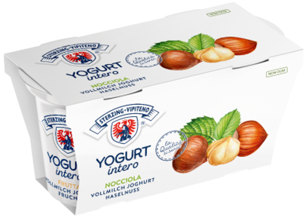 Haselnuss Vollmilchjoghurt 2x125g