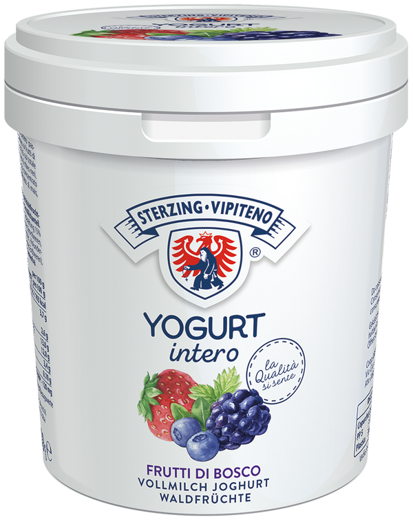 Waldfrucht Joghurt 1kg