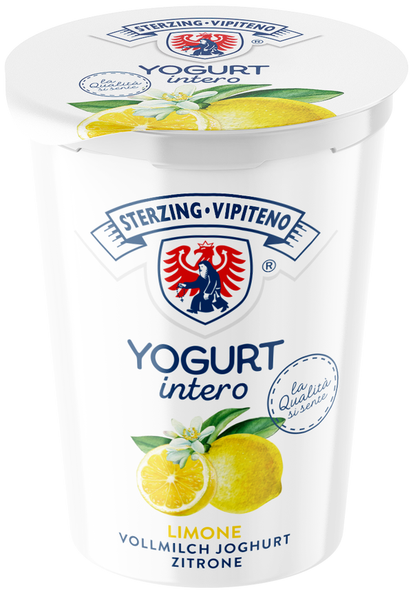 Zitrone Joghurt 500g