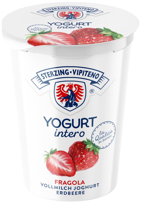 Erdbeer Joghurt 500g