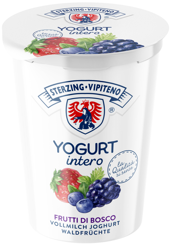 Waldfrucht Joghurt 500g