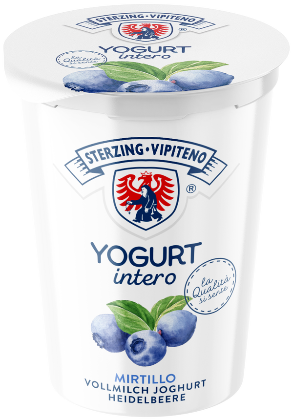 Heidelbeer Joghurt 500g