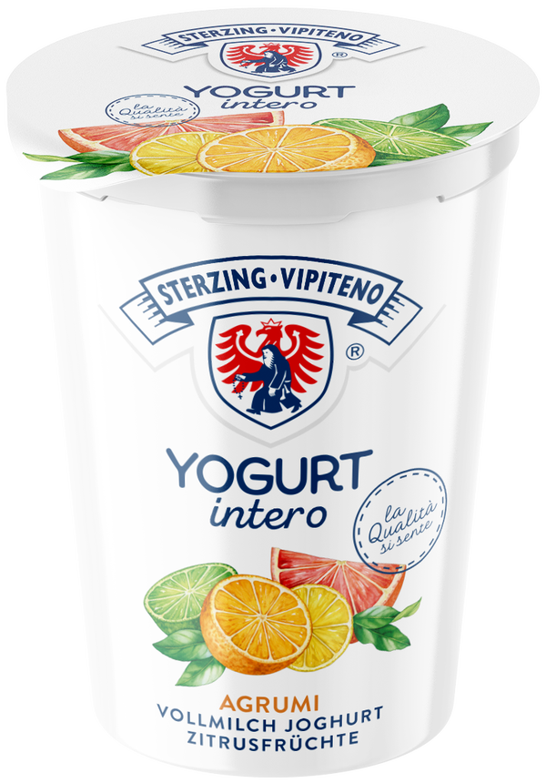 Zitrusfrüchte Joghurt 500g