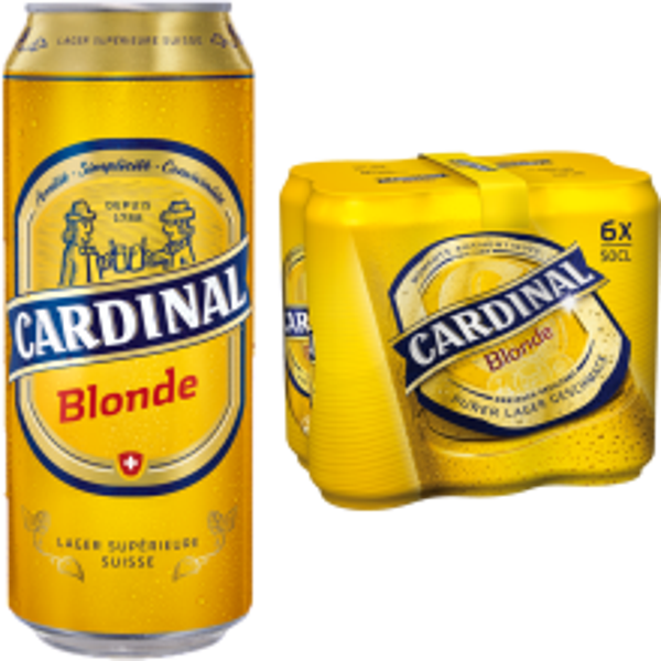 Cardinal Bloind