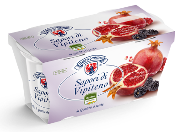Joghurt Granatapfel/Brombeere 2x125g