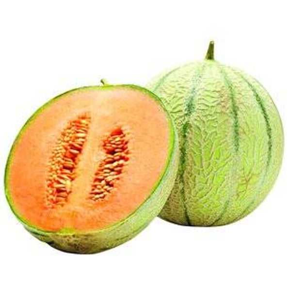 Melone Charentais
