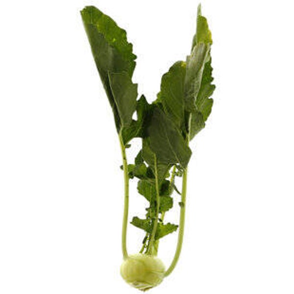 Kohlrabi