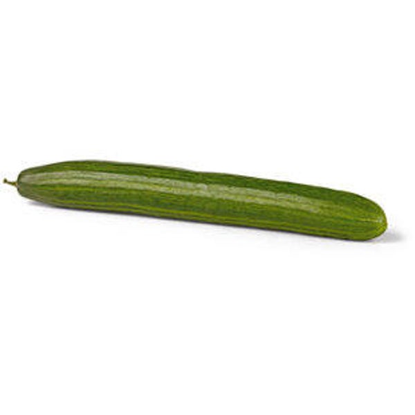 Bio Gurke