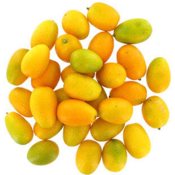 Kumquat