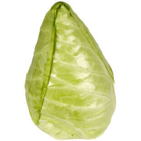 Spitzkabis