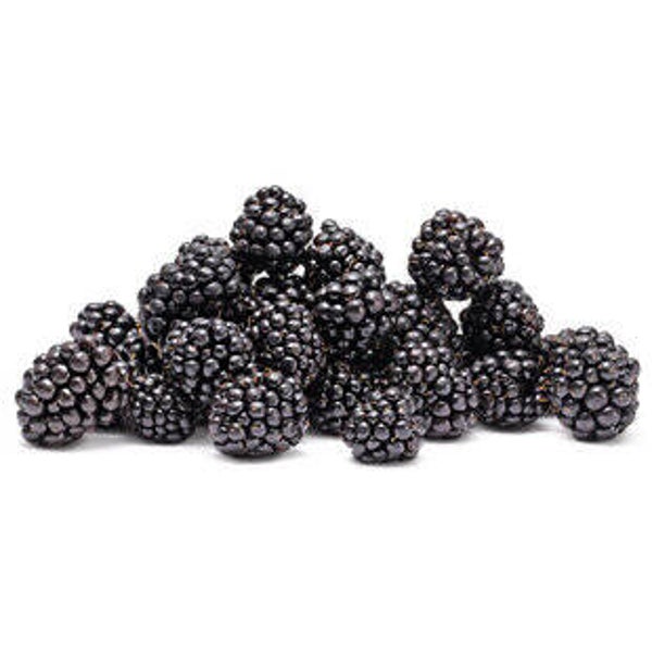 Bio Brombeeren