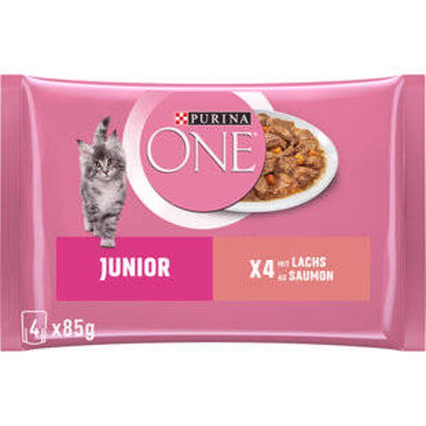 Katzen Futter Nass Junior