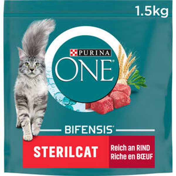 Katzen Futter trocken