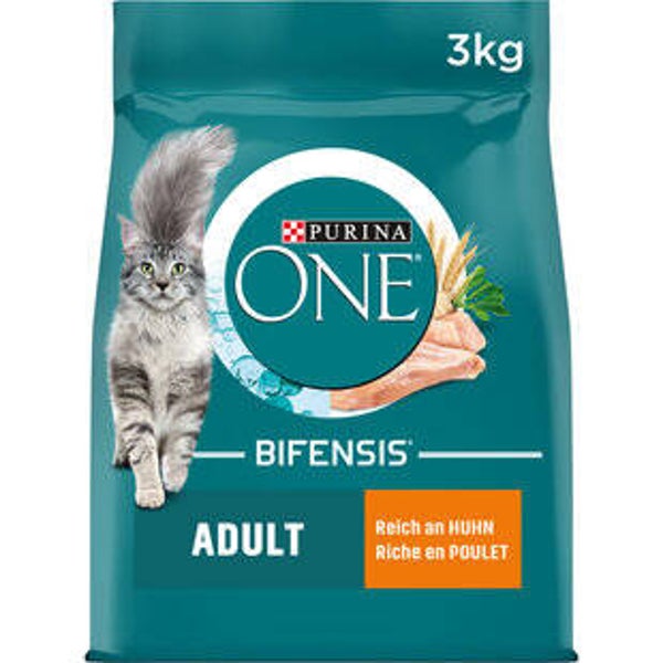 Katzen Futter trocken
