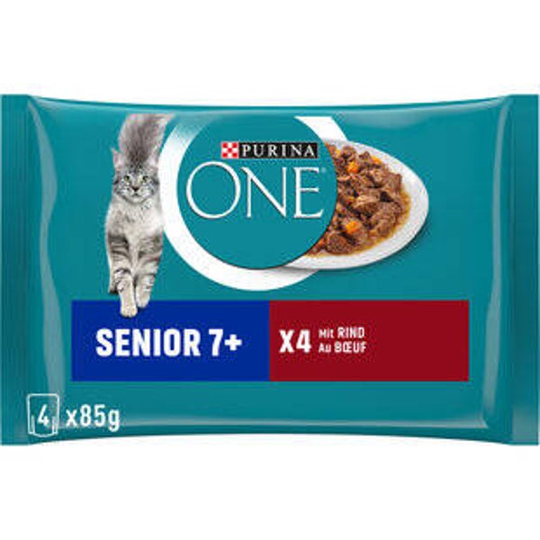 Kazen Futter Nass Senior