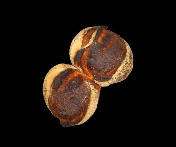 Schwarzerpeter-Brot