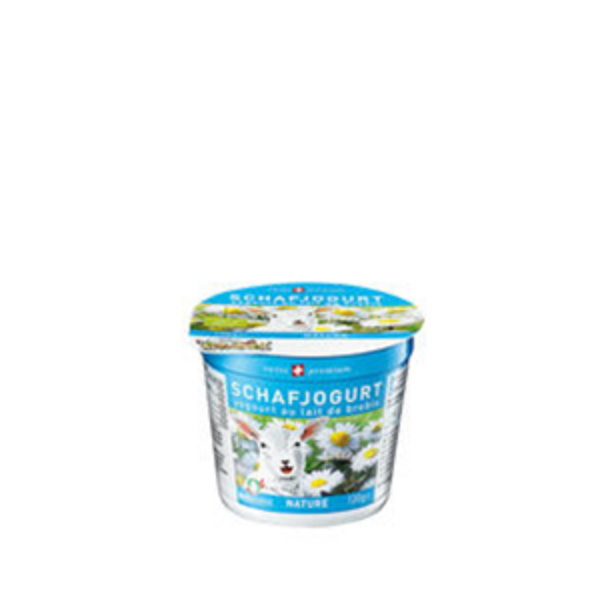 Bio Schafmilch-Jogurt Nature