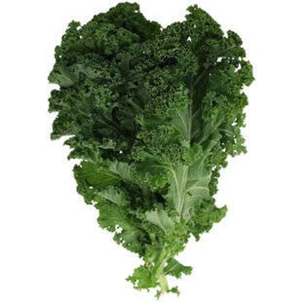 Federkohl