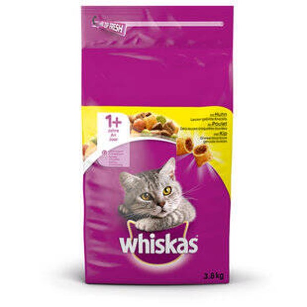 Katzen Futter trocken