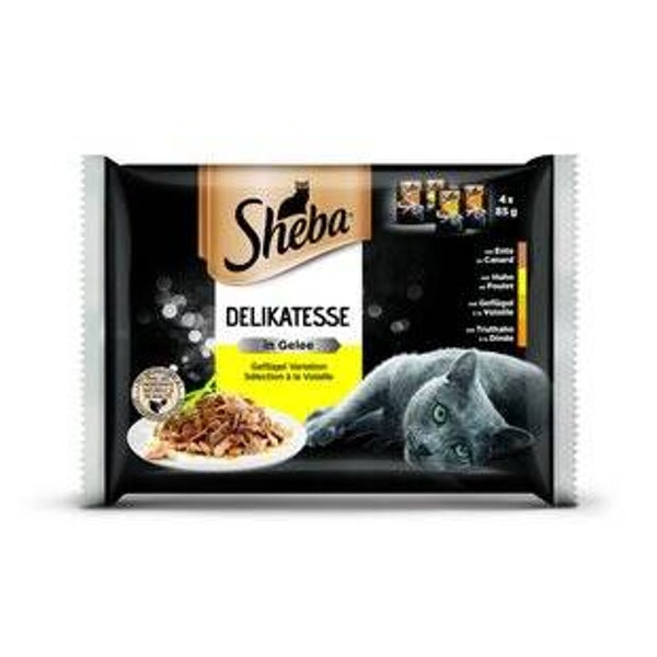 Katzen Futter Nass