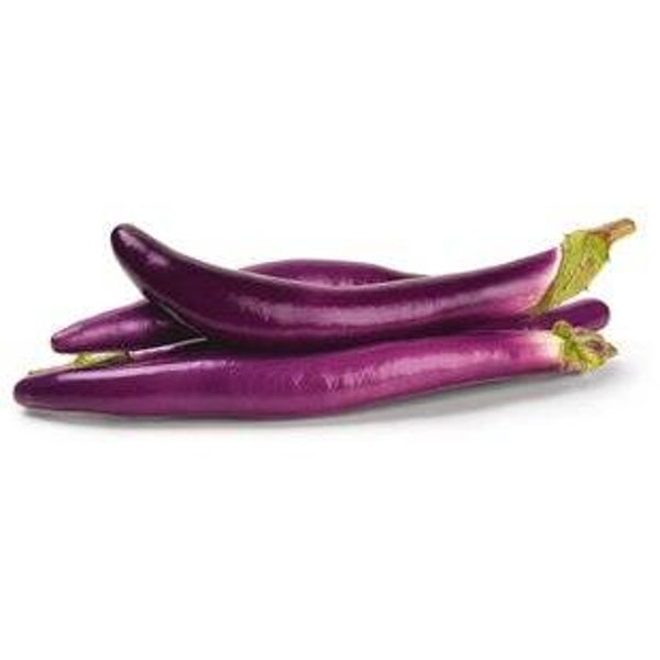Schlangen Aubergine