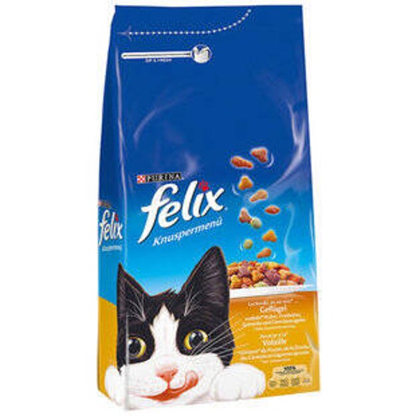 Katzen Futter trocken