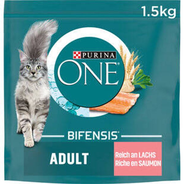 Katzen Futter trocken
