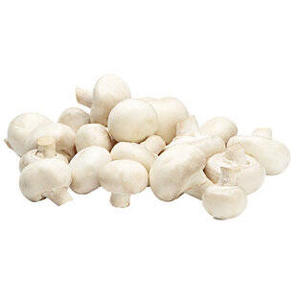 Champignons weiss