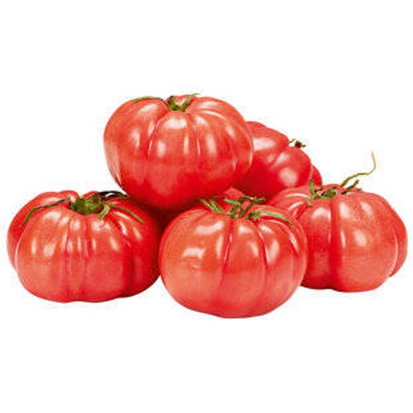 Tomaten Monte Rosa