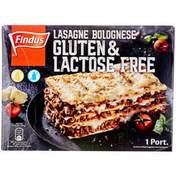 Lasagne glutenfrei+laktosefrei