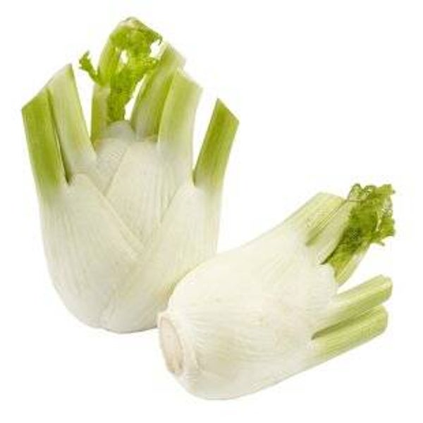 Bio Fenchel