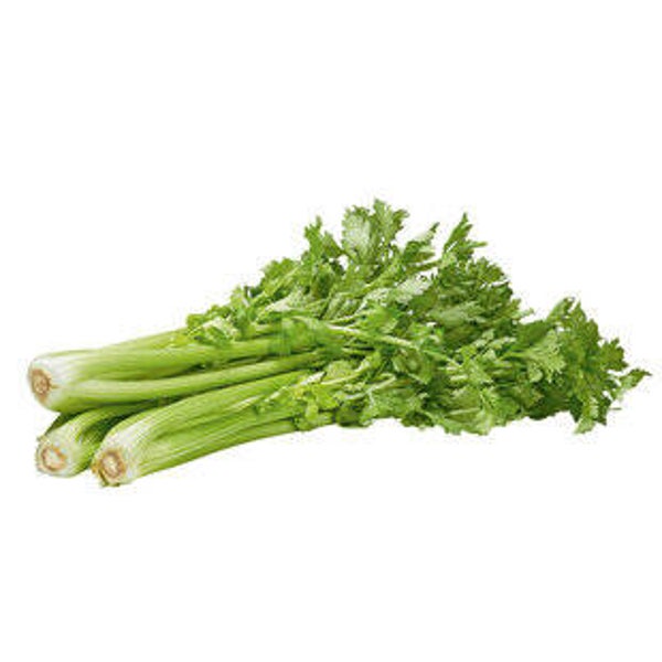 Bio Stangensellerie