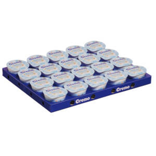 Joghurt Nature 20x100g