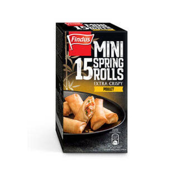 Springrolls Poulet