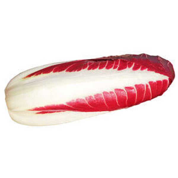 Radicchio di Treviso