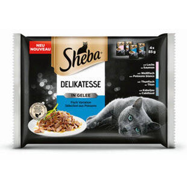 Katzen Futter Nass